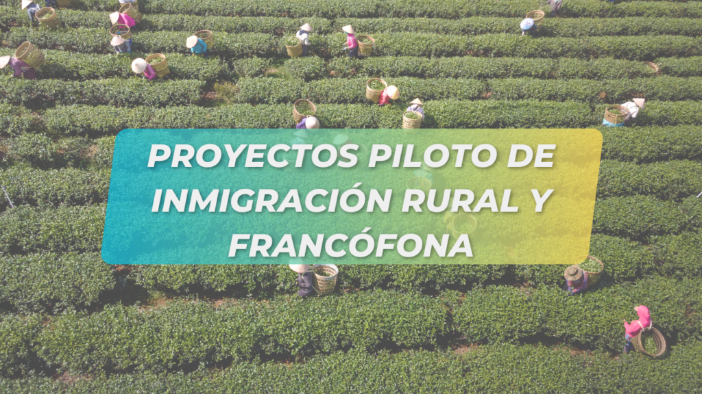 Proyectos piloto de inmigración rural y francófona